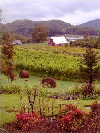 Tiger Winery