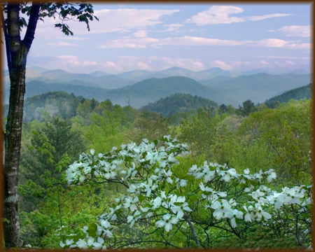 Mountains in Spring